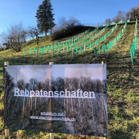 Rebpatenschaft